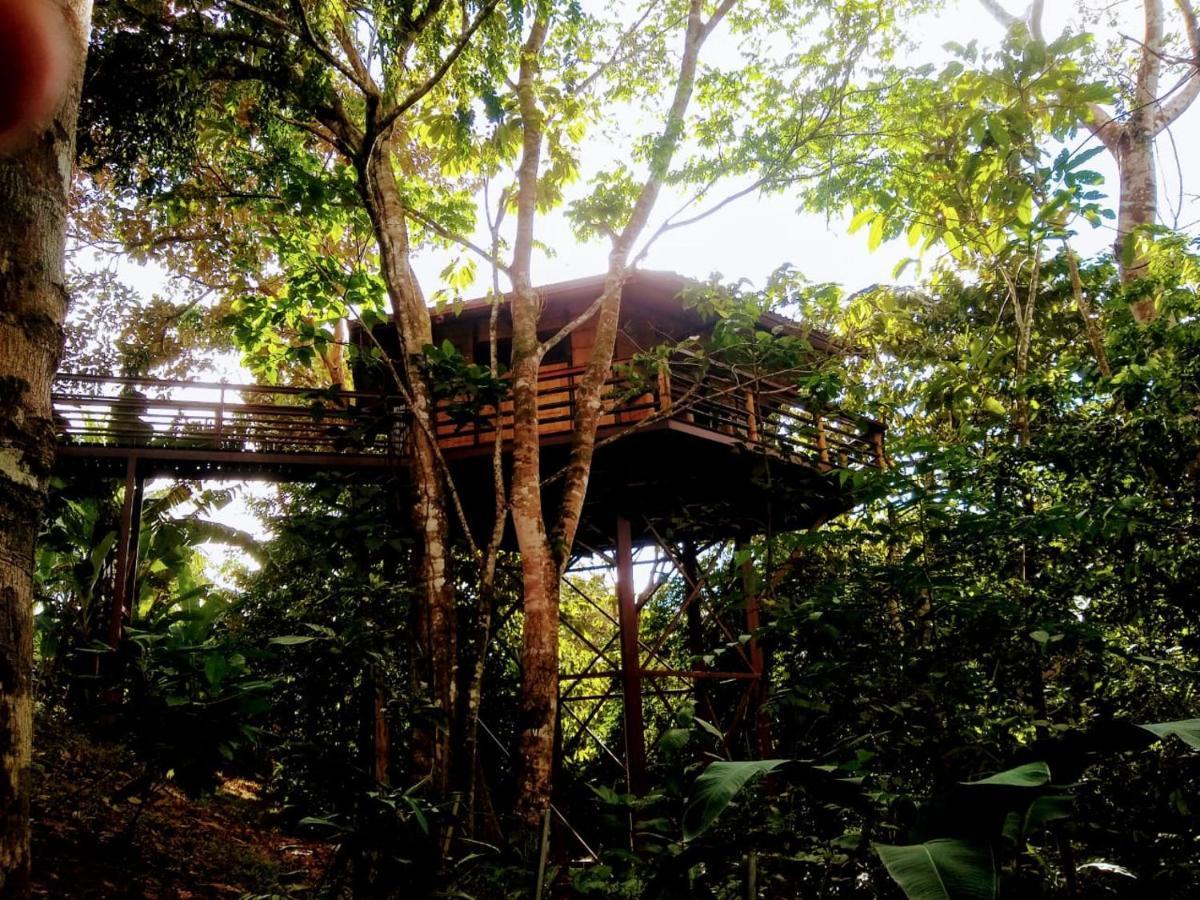 Villa Treehouse Pilon Pavones Pavones  Exterior foto