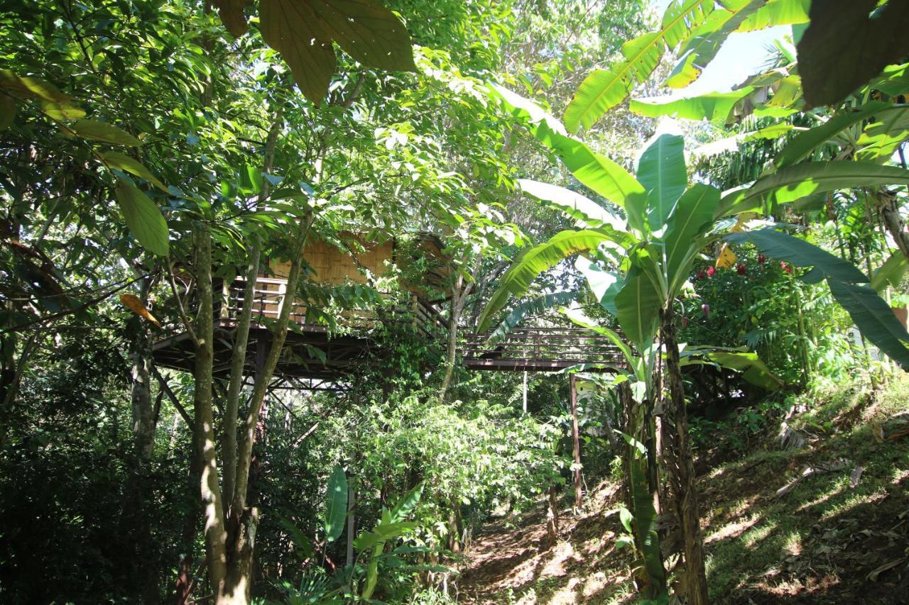 Villa Treehouse Pilon Pavones Pavones  Exterior foto