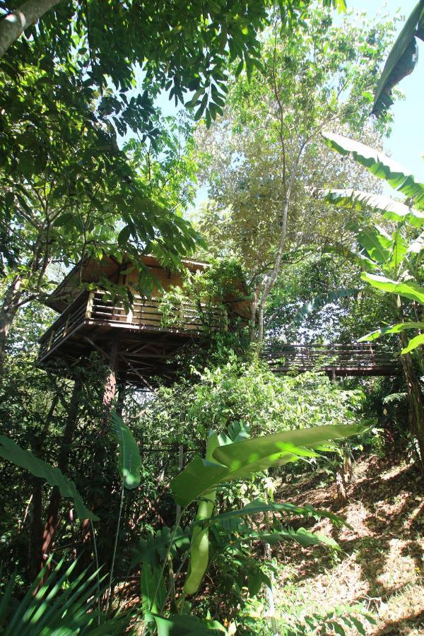 Villa Treehouse Pilon Pavones Pavones  Exterior foto