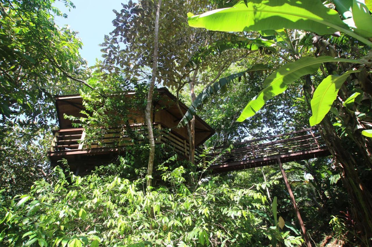 Villa Treehouse Pilon Pavones Pavones  Exterior foto