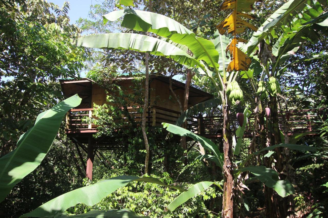 Villa Treehouse Pilon Pavones Pavones  Exterior foto