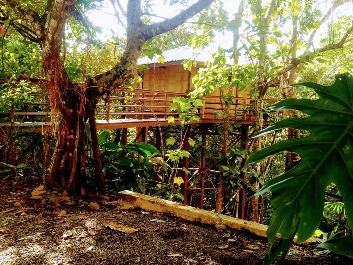 Villa Treehouse Pilon Pavones Pavones  Exterior foto