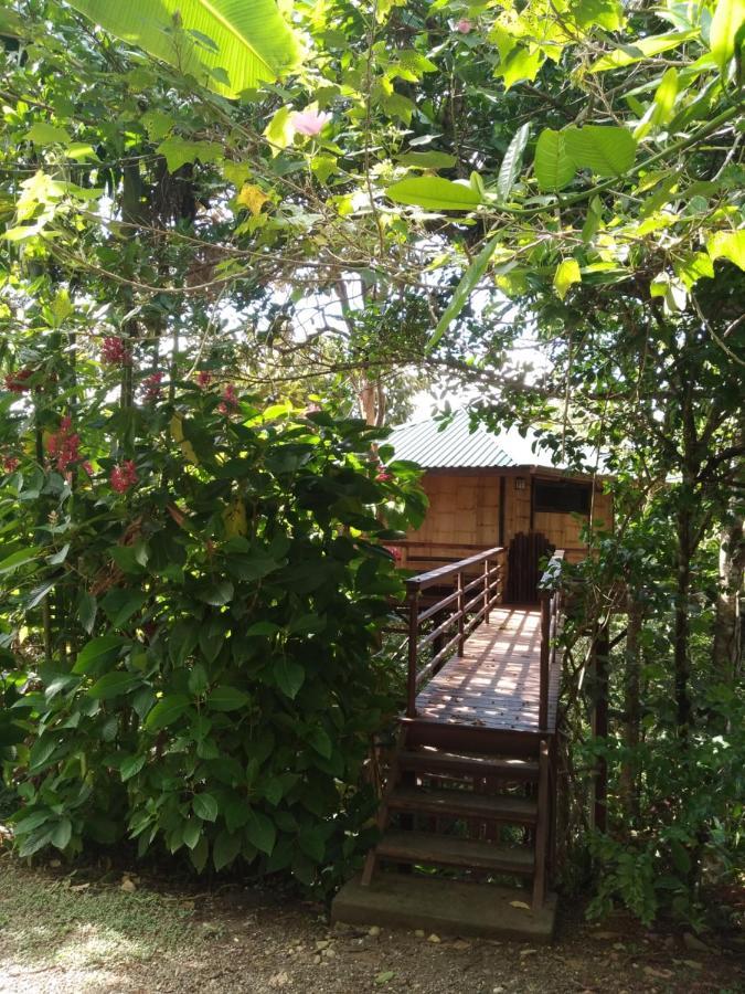 Villa Treehouse Pilon Pavones Pavones  Exterior foto