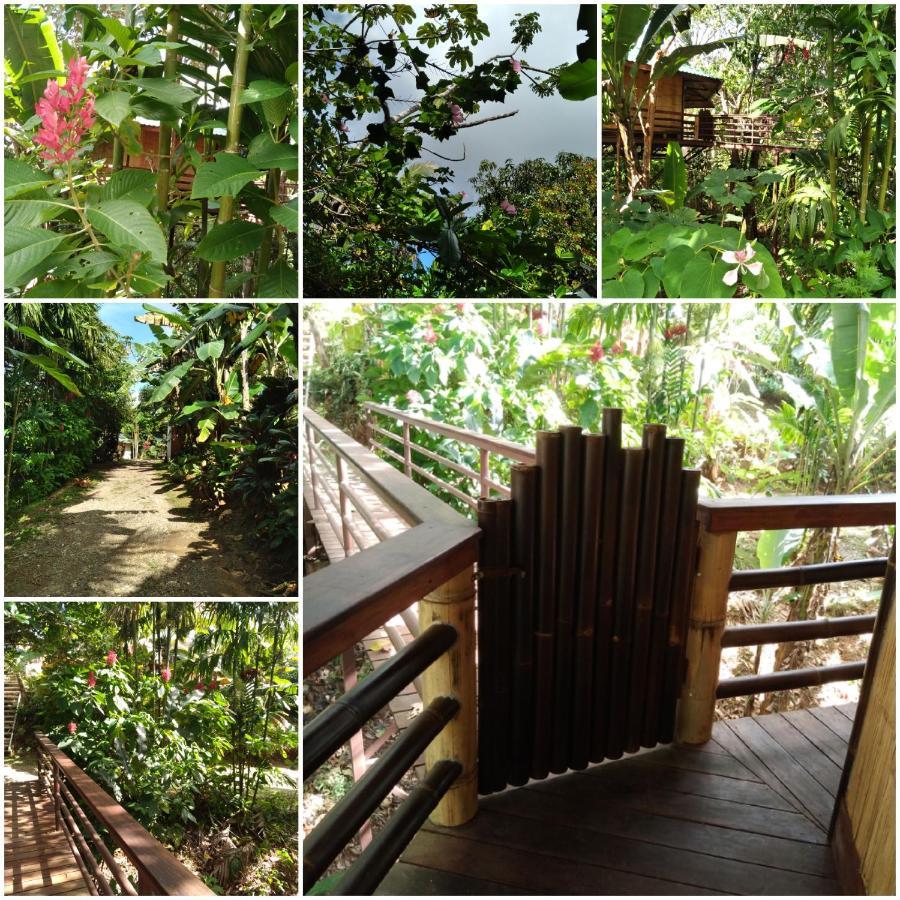 Villa Treehouse Pilon Pavones Pavones  Exterior foto