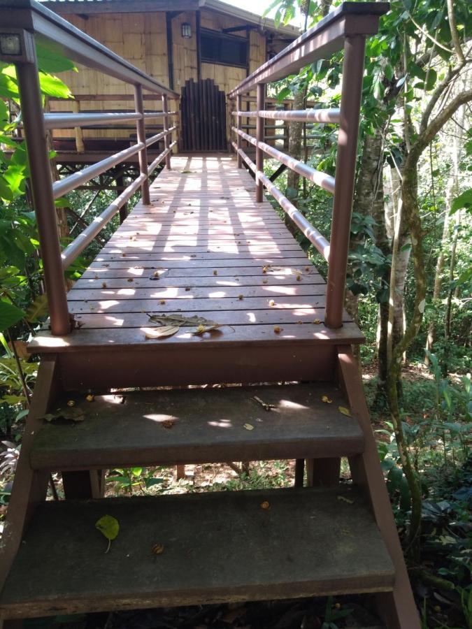 Villa Treehouse Pilon Pavones Pavones  Exterior foto